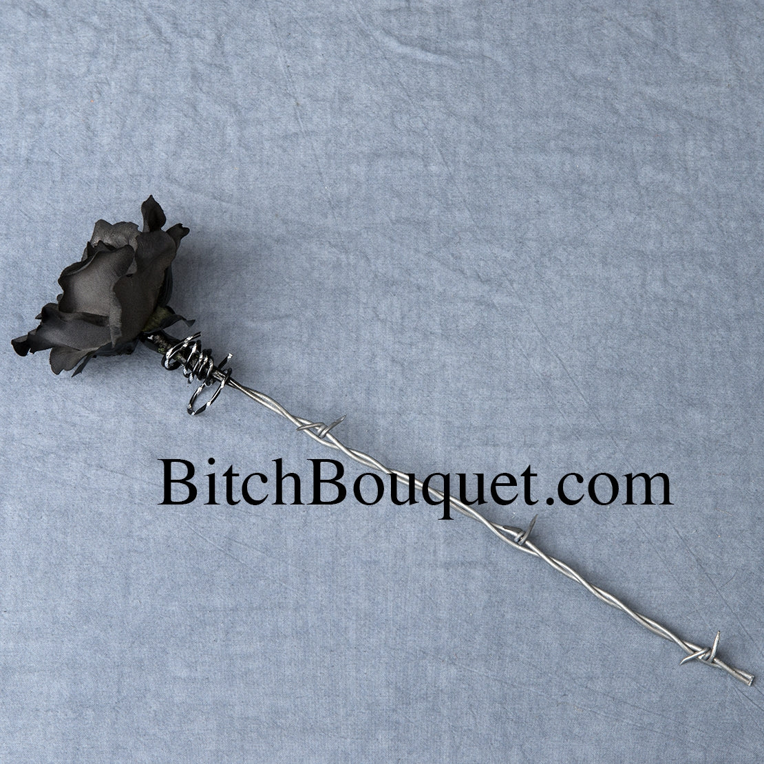 Barbed Wire Rose