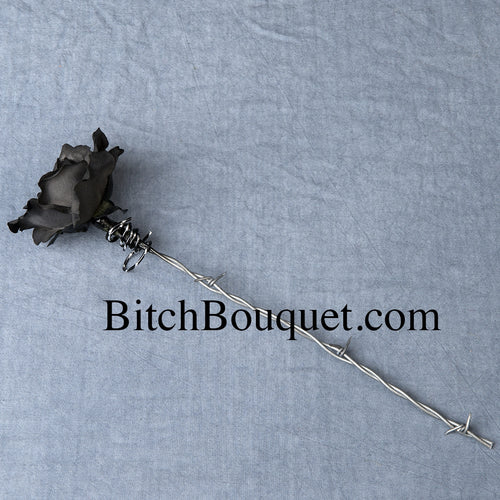 Barbed Wire Rose