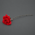Blood Barbed Wire Rose